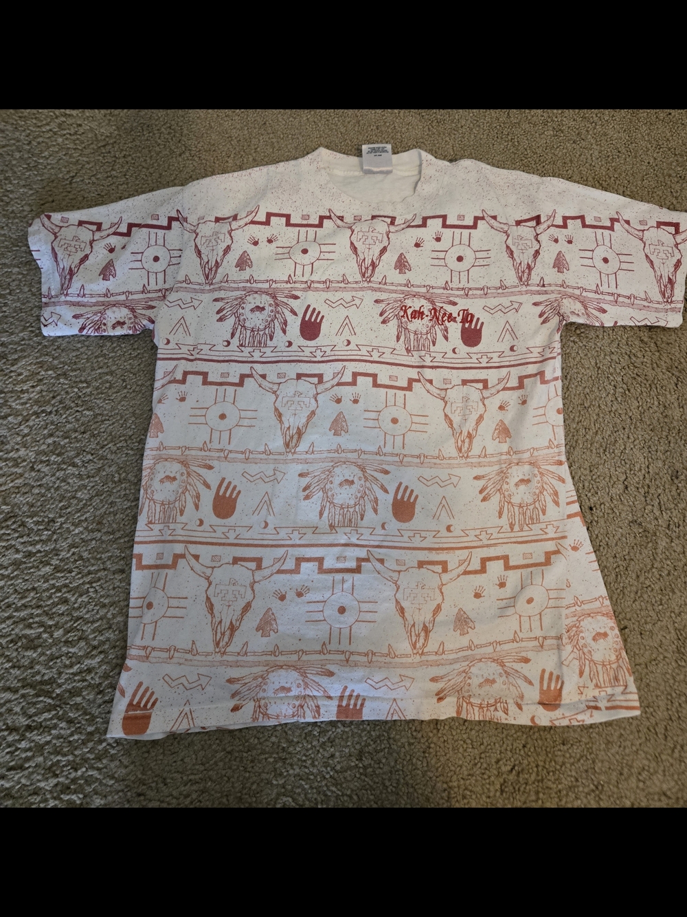 Southwestern Graphic Tee in White and Terracotta